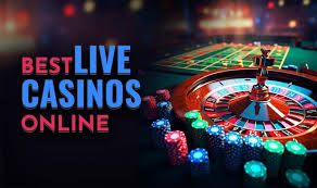 Exploring Evolution Red Door Roulette A Game of Chance and Strategy -1663632855