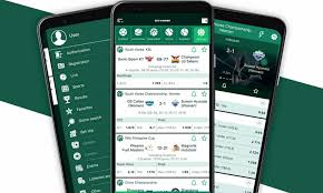 BetWinner Online Bookmaker A Comprehensive Guide