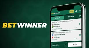 BetWinner Online Bookmaker A Comprehensive Guide