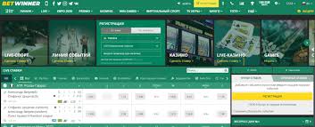 Exciting Cricket Betting Experience at BetWinner Ivory Coast