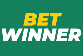 Explore the BetWinner Betting Platform – Your Ultimate Guide